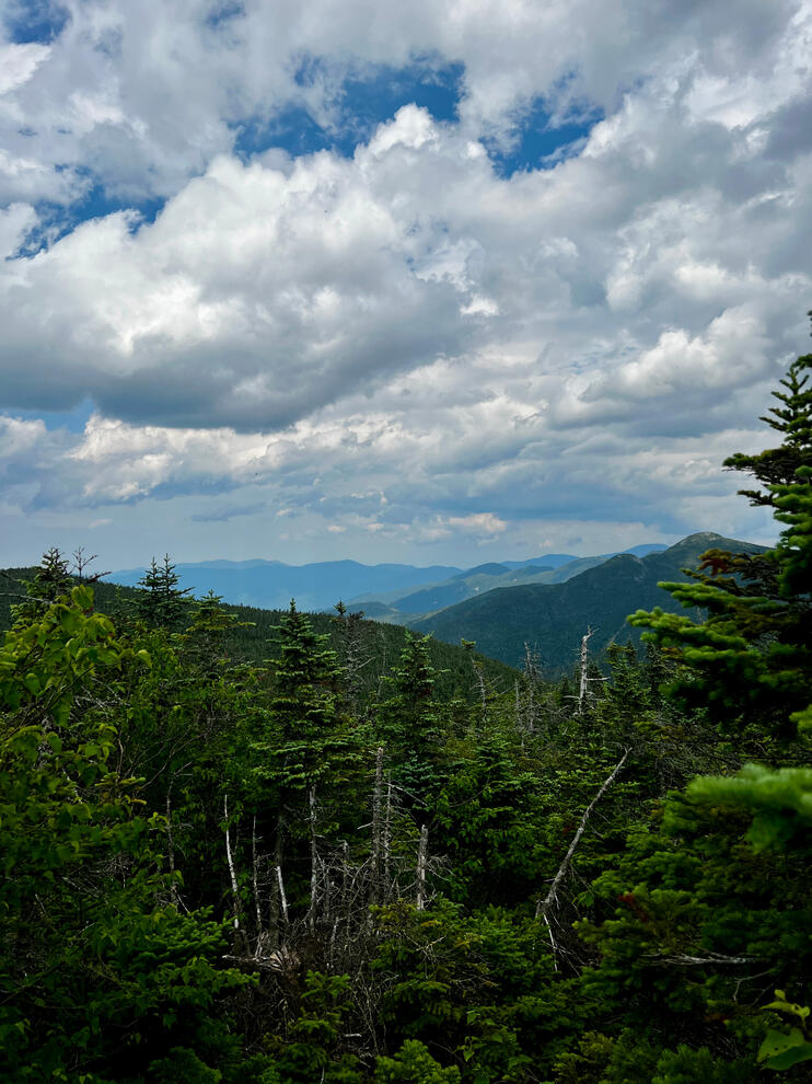 Mountain Views