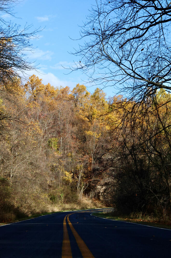 Just Before The Turn In The Road