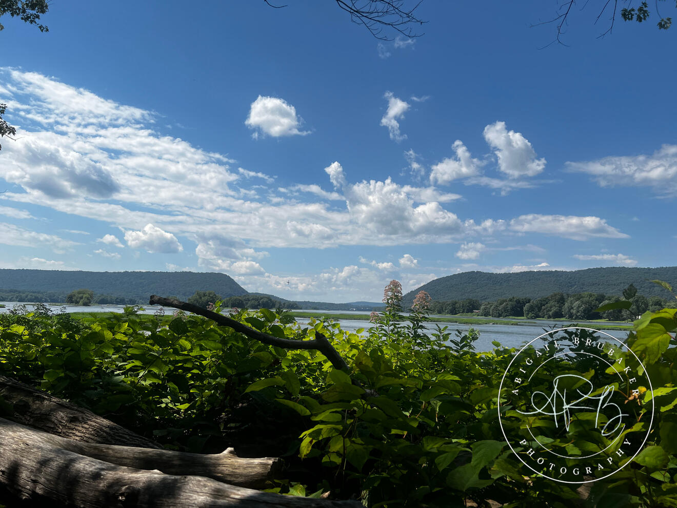 Summer Day On The Susquehanna