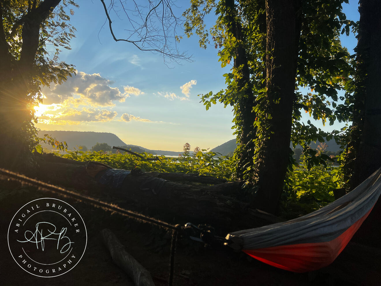 Sun Peaking Through The Trees