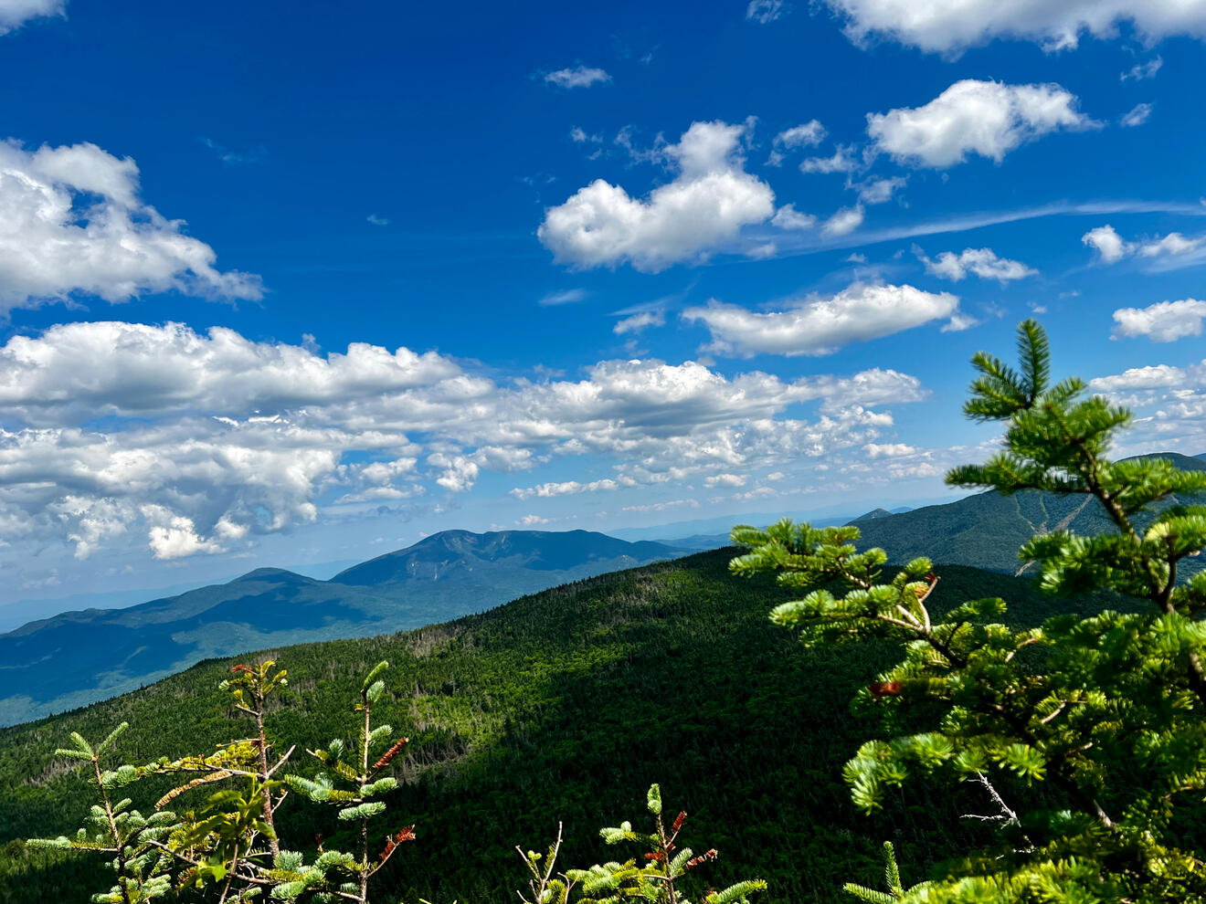 View From Big Slide Mountain