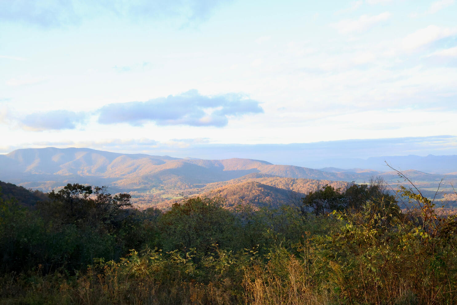 The Hills Of Shenandoah