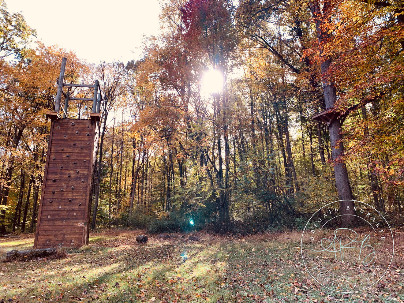 Fall Foliage