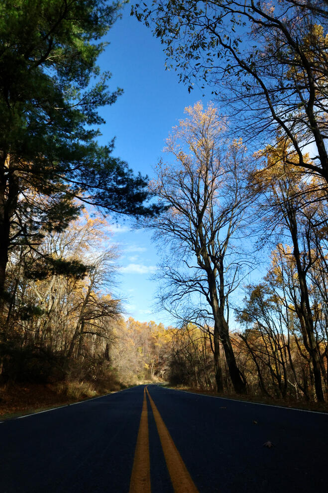 Fall Road