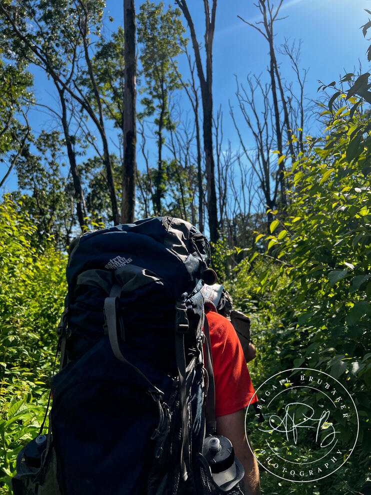 A Hike On The Appalachian Trail
