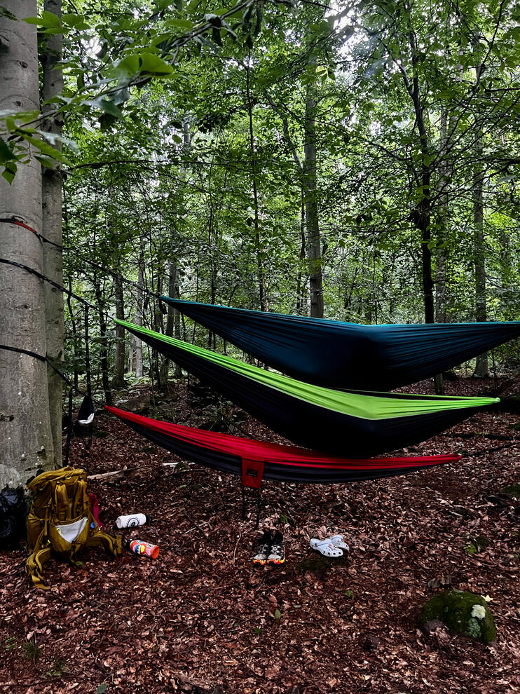 Set Up Camp