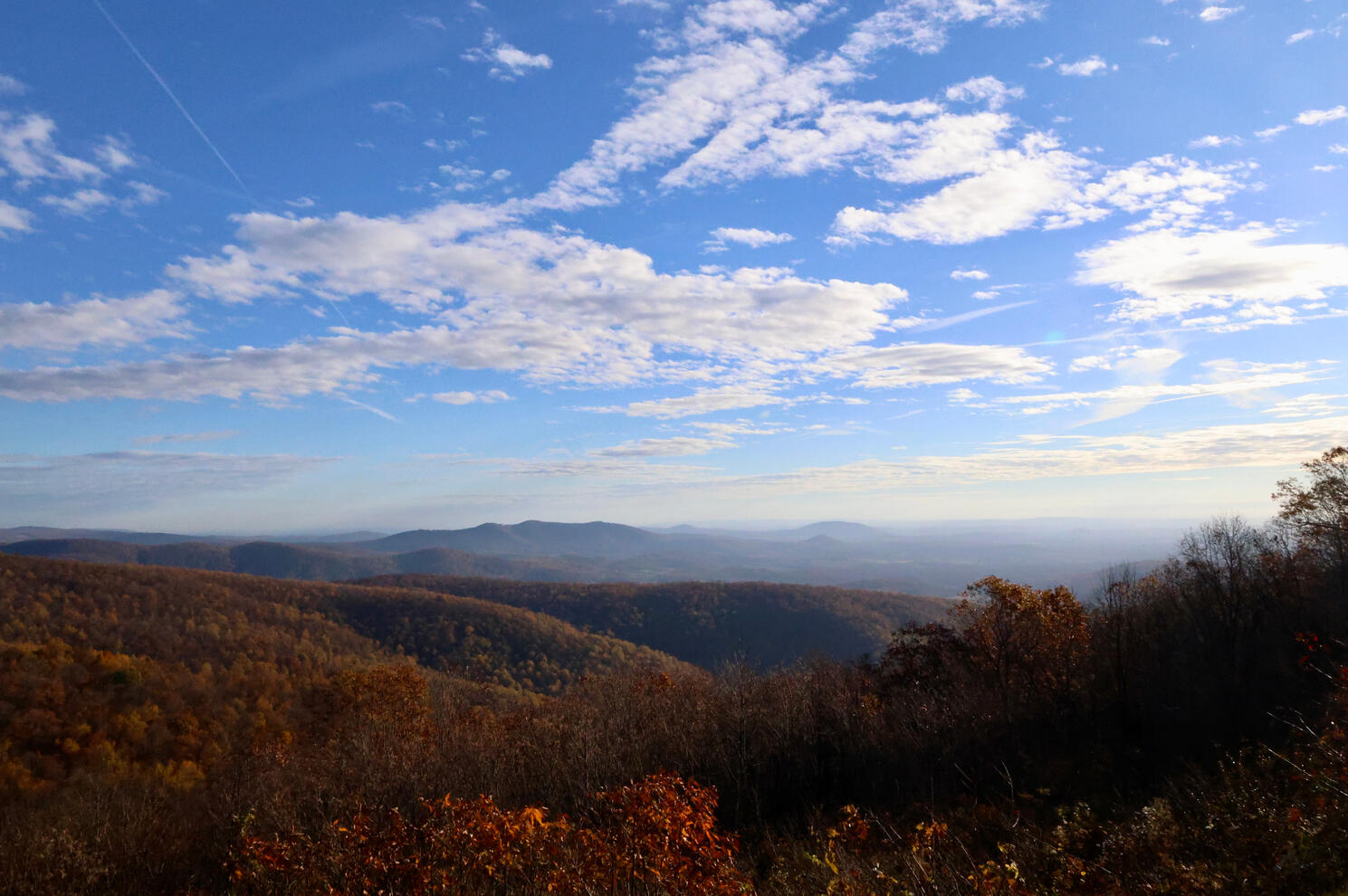 Fall In The Valley