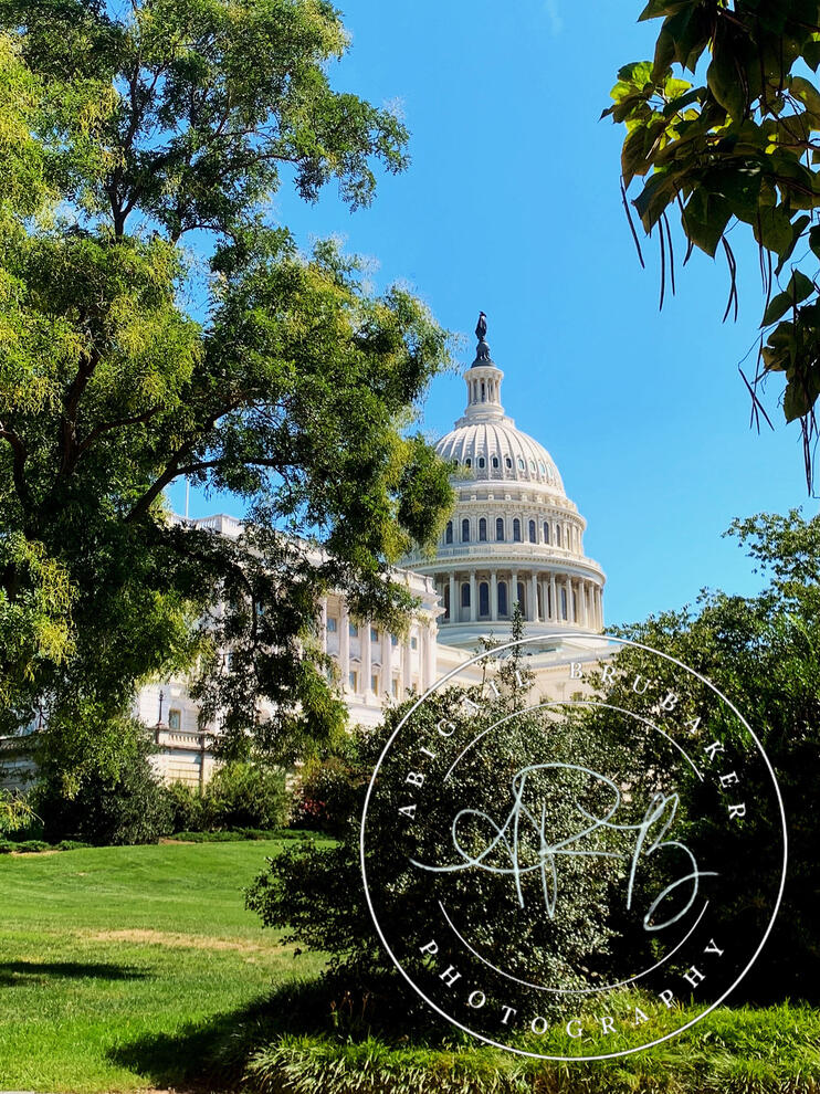The Capitol Through The Trees