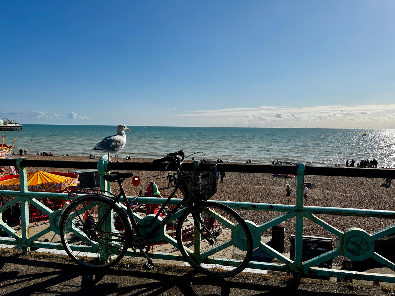 Seagull Perched
