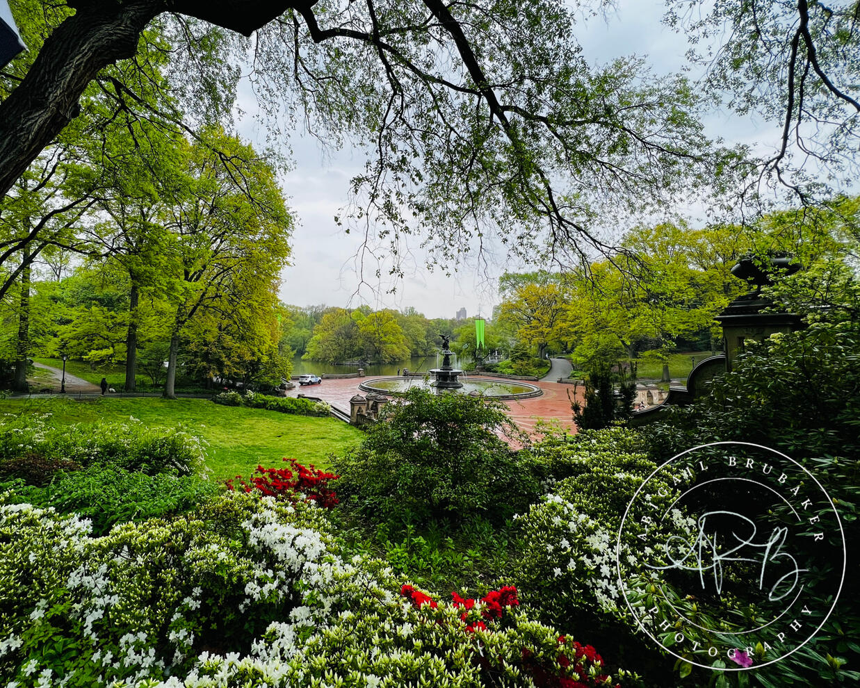 Bethesda Fountain